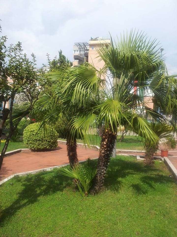 Hotel De La Ville Central Latina Létesítmények fotó
